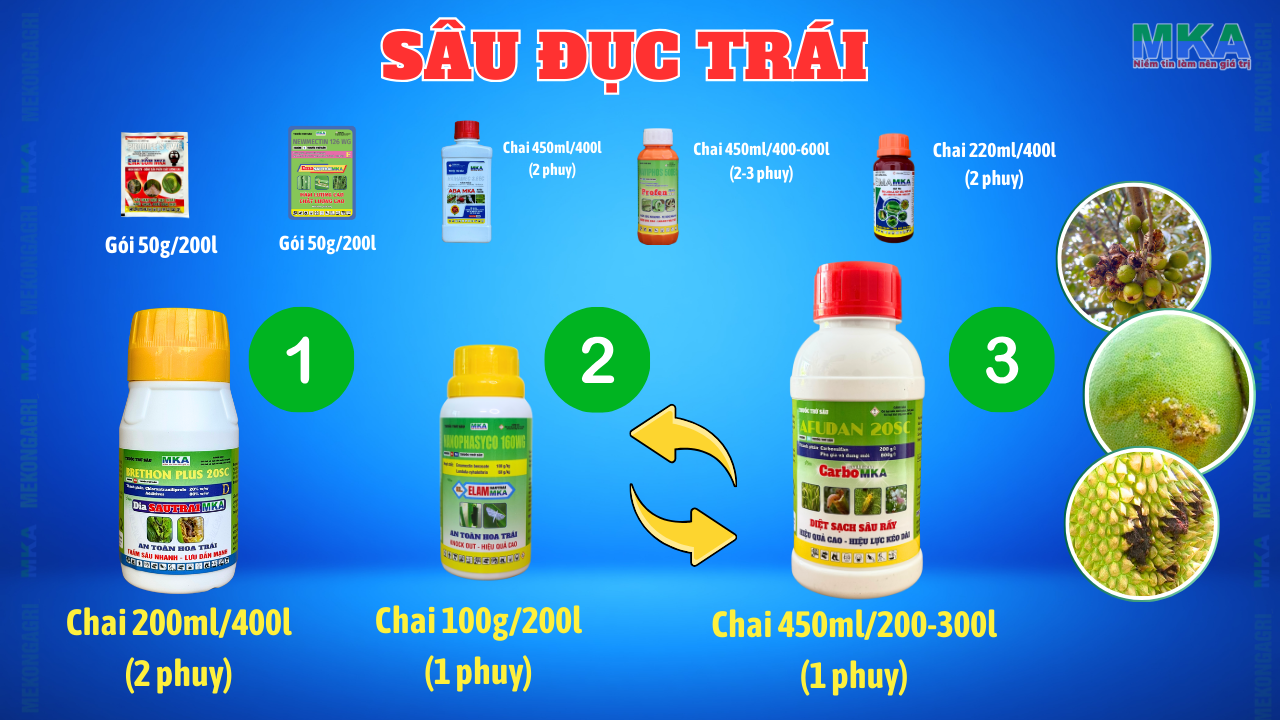 quy trình sâu đục trái MKA